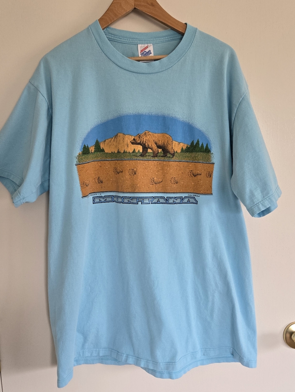 Vintage Jerzees Montana Tee Men's XL Great Bear Foundation 93